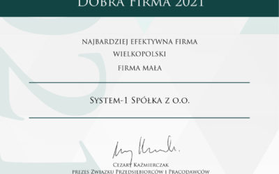 NAJBARDZIEJ EFEKTYWNA FIRMA W WIELKOPOLSCE